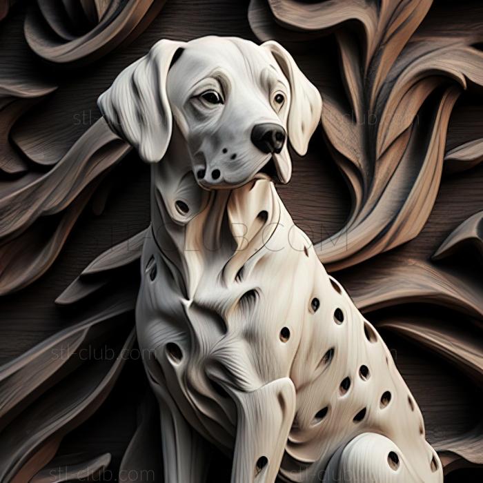 st Dalmatian dog